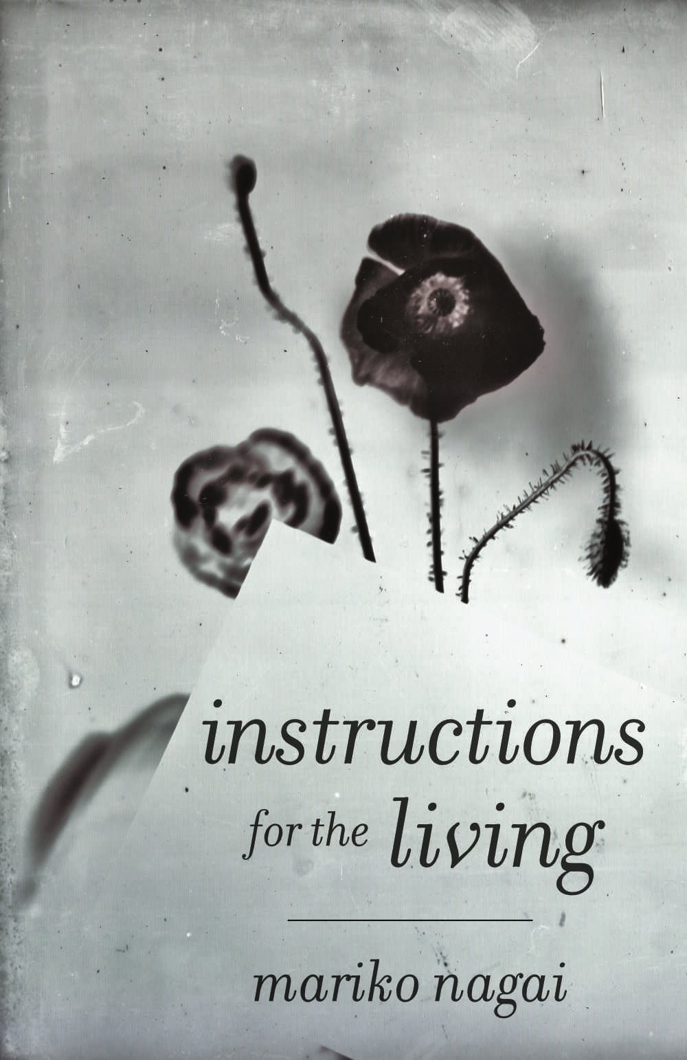 Instructions for the Living